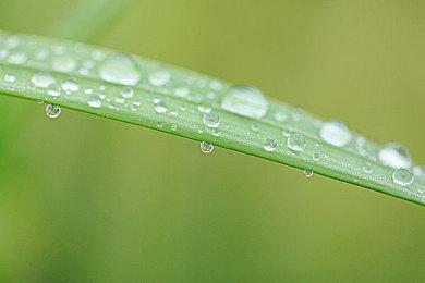 冒险游戏《Amerzone：探险家的记忆传承》故事预告 今年10月发售